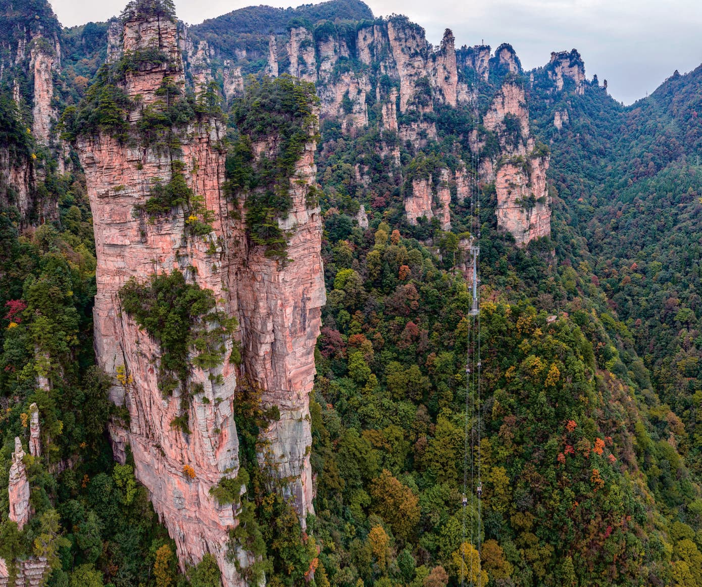 Tianzi Mountain cableway passing above forested sandstone peaks in the official Tour Guide Manual.