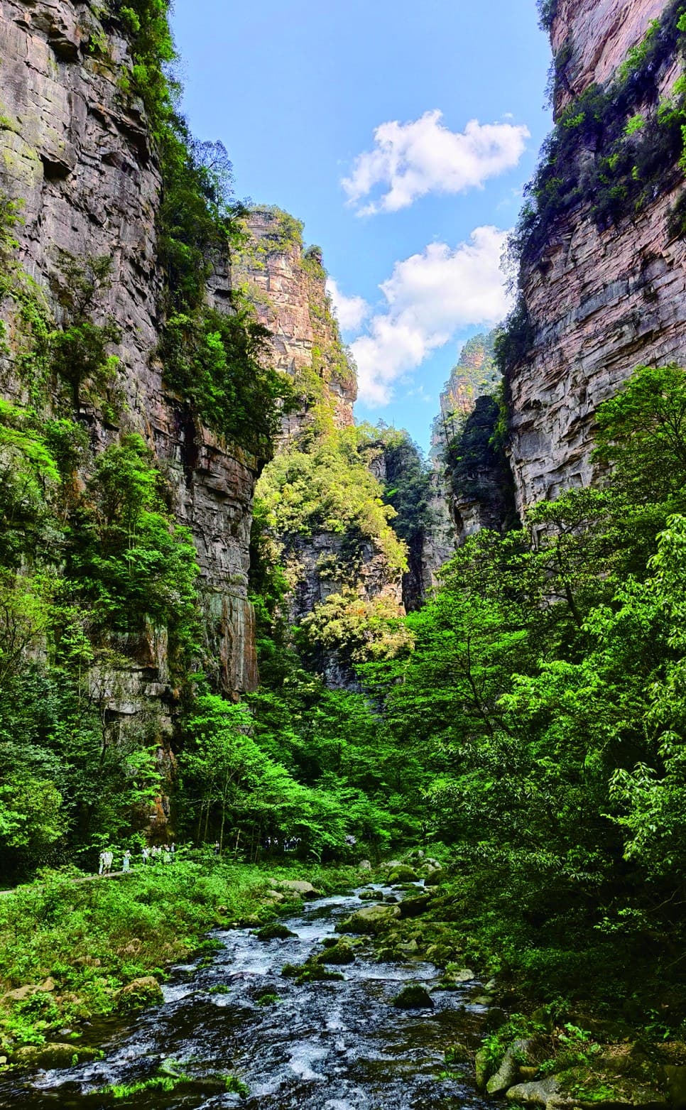 Golden Whip Stream flowing through a narrow sandstone gorge