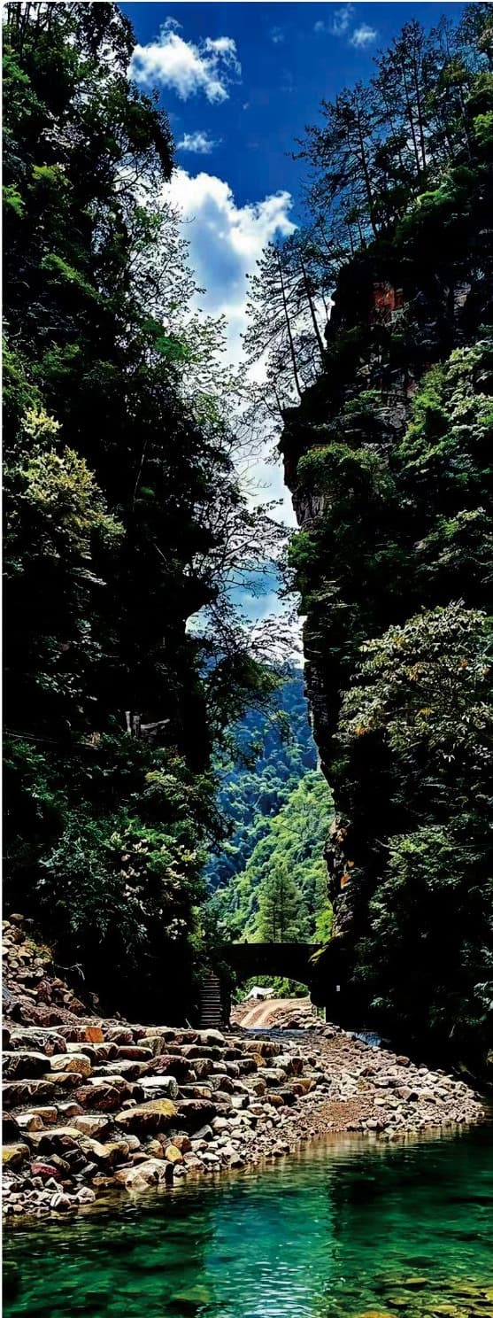 Clear water within a narrow forested Baihutang gorge