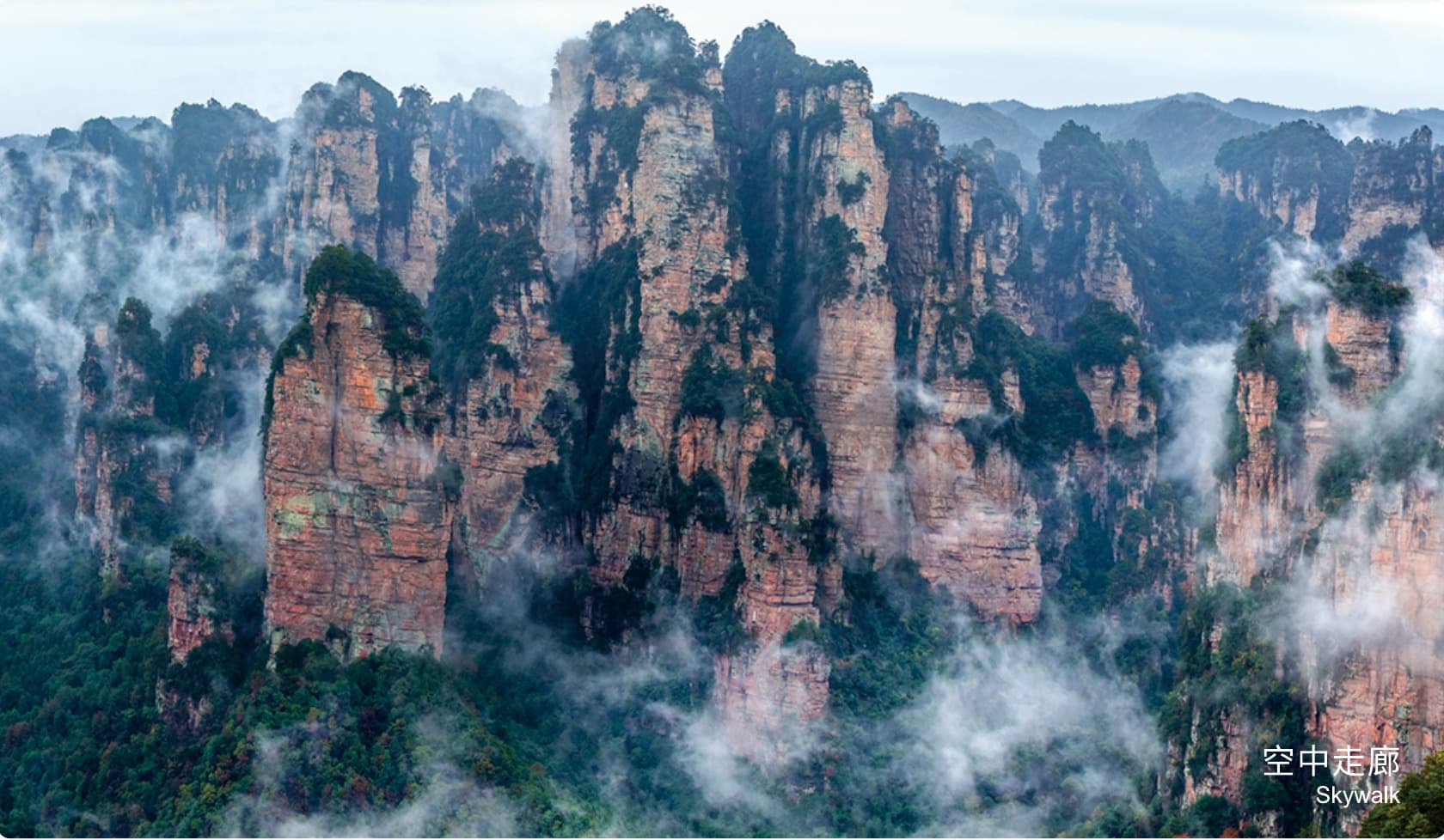 Misty Yangjiajie mountain walking route