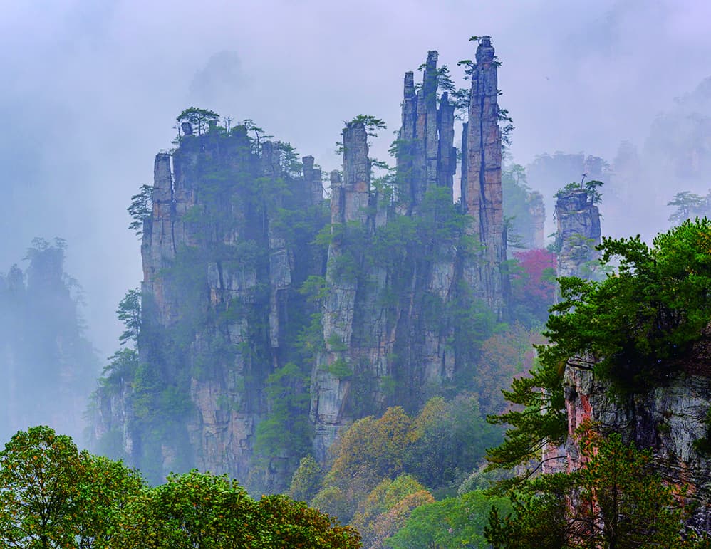 Imperial Brush Peak rising above the Tianzi Mountain forest