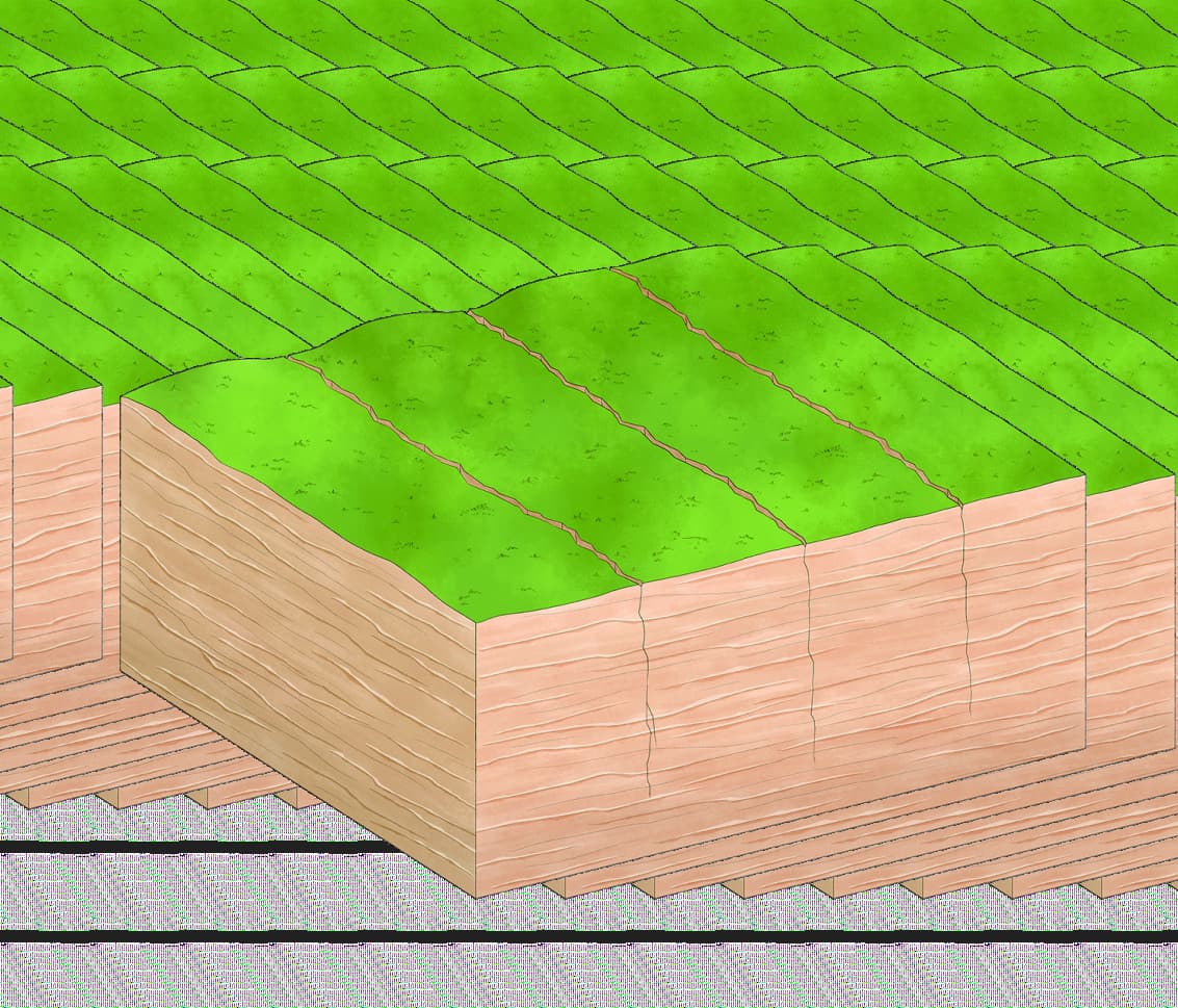 Official diagram showing parallel vertical joints in a quartz-sandstone platform