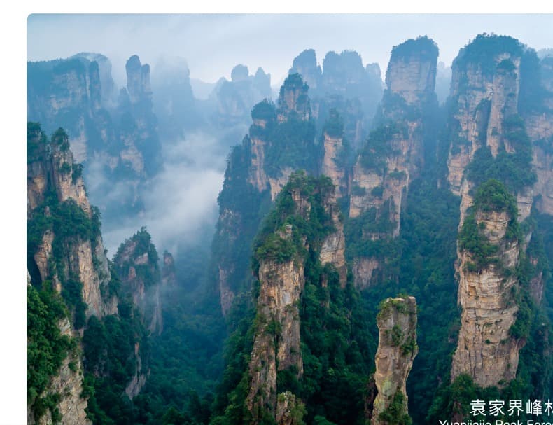 Sandstone pillars emerging from mist in the Yuanjiajie peak forest