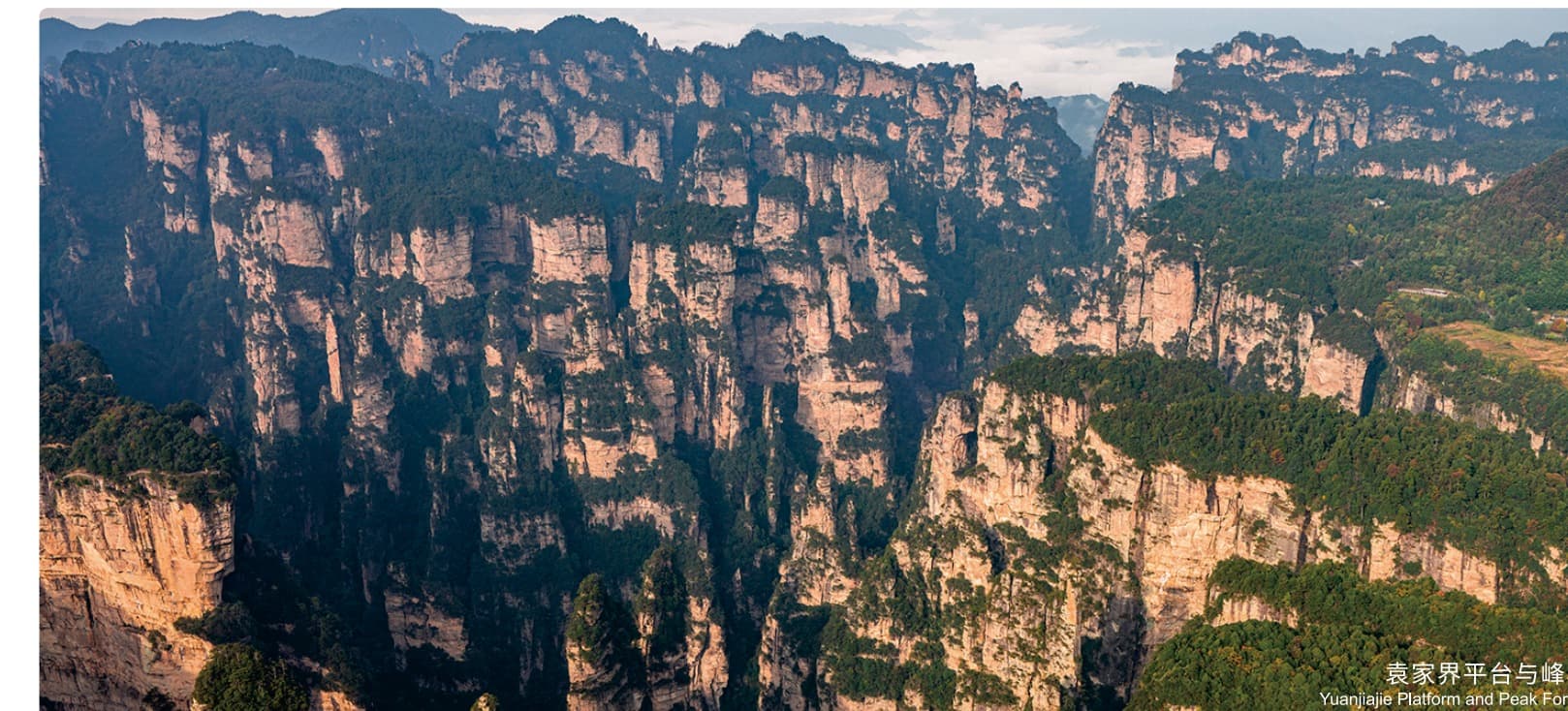 Sandstone pillars and forest at Yuanjiajie