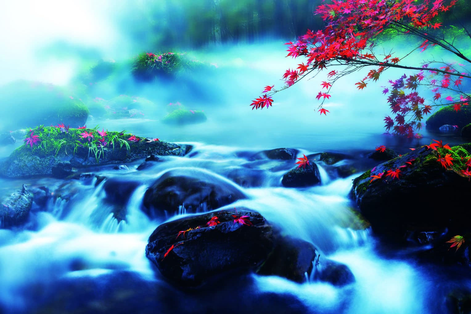 Misty water flowing over rocks beneath red leaves along Golden Whip Stream.