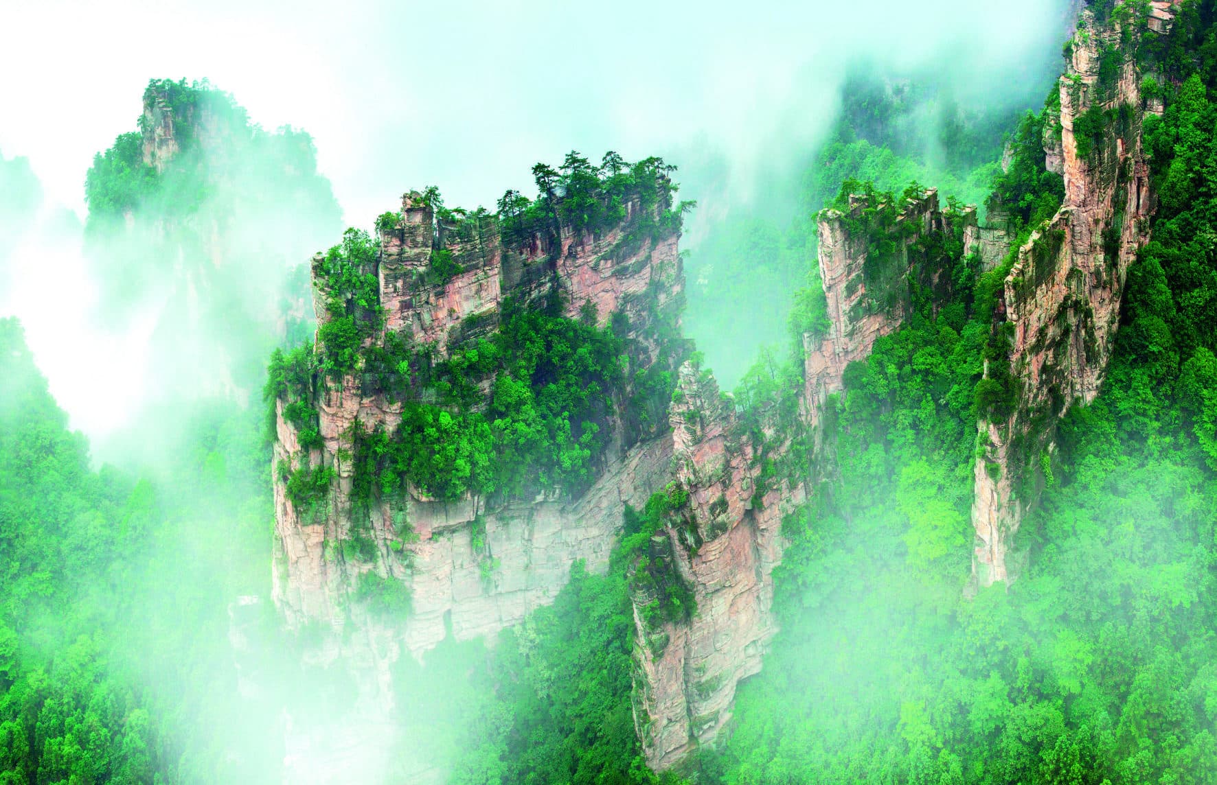 Forested sandstone peak walls across Yangjiajie
